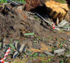 storm damage7