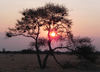 sunset in Botswana