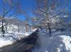 New England Blizzard