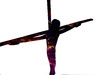 Cosmic Christ