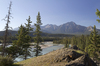 Blue River Landscape