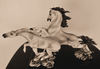 ornamental horses2