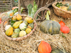 pumpkin still life