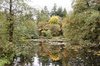 Autumn colours
