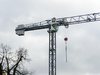Crane