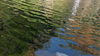 Water reflections
