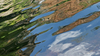 Water reflections