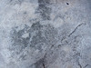 Cement Walk