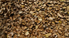 Leaves in the Territory Dry