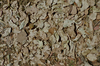 Leaves in the Territory Dry