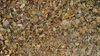 Leaves in the Territory Dry