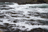 Rapids