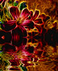 Flower Over Water