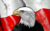 Polish flag