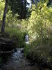 Little river