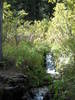 Little river