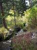 Little river