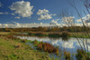 The river Suså