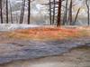 Mammoth Hot Springs