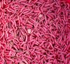 Red maggots