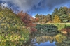 Autumn scene 2