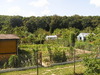 Allotment (gardening)