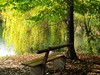 bench in autumn