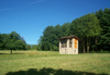summer field