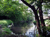 pond