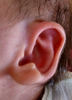 lend me your ear