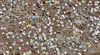 puzzling1