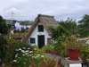 Madeira house