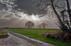 Road on a Cloudy Day