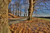 The road around the hill