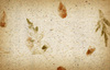 Papier Texture