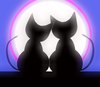 Valentine Cats 4