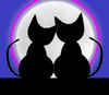 Valentine Cats 2