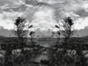 Landscapes of oblivion