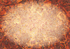 Oval Grunge Background