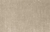 Canvas 1