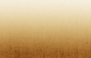 Canvas 10