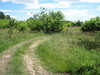 A road