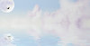 Flight Over Water 4