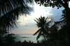 Tropical Evening