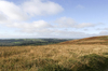 Wales landscape