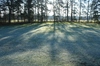 Frosty winter grass in sunshin