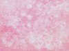 Floral Grunge Background 5