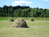 Hay stack