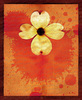 Dogwood Flower