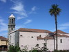 church and palm